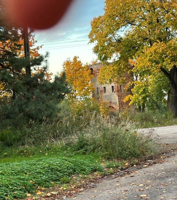 Wyniki Szkolnego Konkursu Fotograficznego „Jesień w obiektywie”