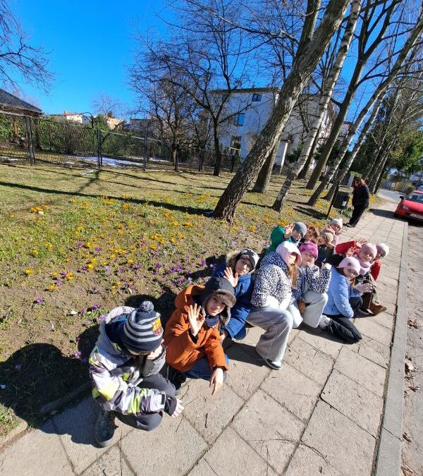 4b w poszukiwaniu wiosny